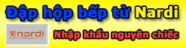 Giới thiệu bếp từ Nardi PVF6HT38