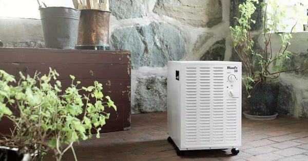 Ảnh thực tế máy hút ẩm Wood’s SW22FW 