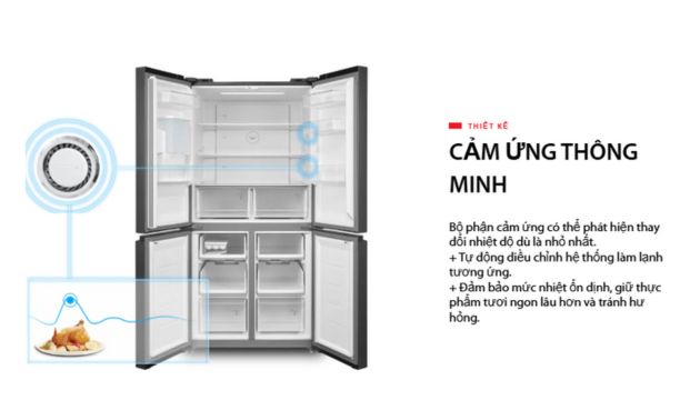 Cảm ứng độ thông minh