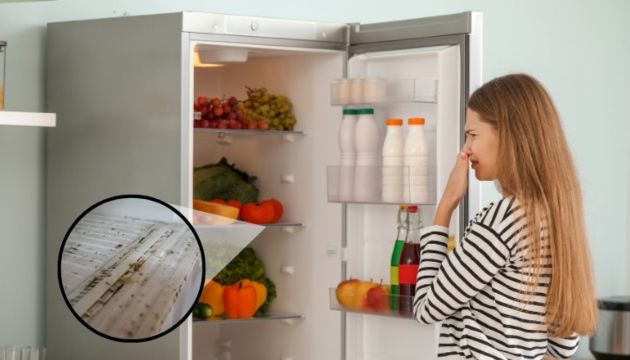 Vì sao cần vệ sinh và khử mùi tủ lạnh định kỳ?