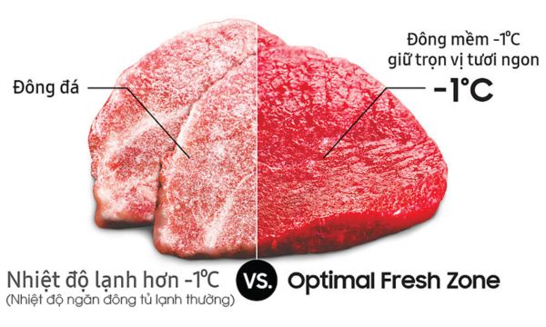 Ngăn đông mềm Optimal Fresh Zone