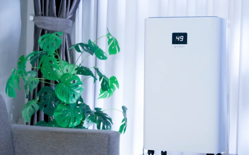 Có nên mua máy hút ẩm để lọc không khí trong nhà