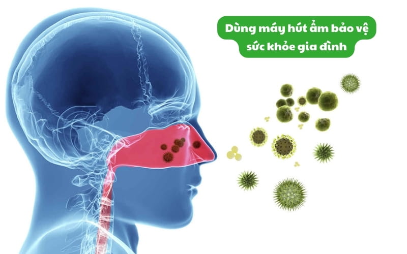 Dùng máy hút ẩm bảo vệ sức khỏe gia đình