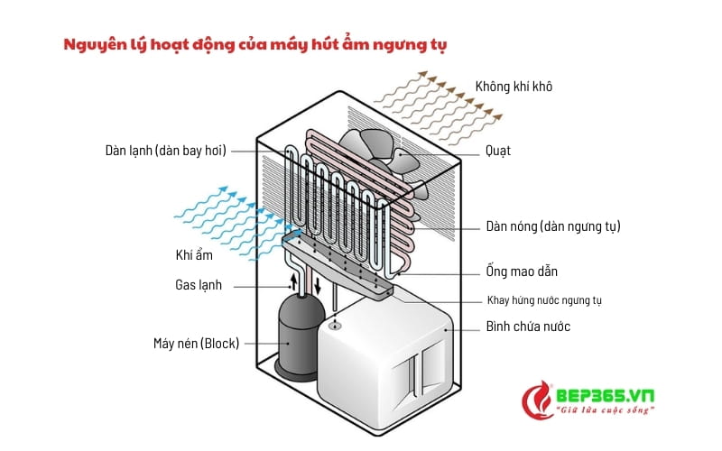 Nguyên lý hoạt động của máy hút ẩm ngưng tụ