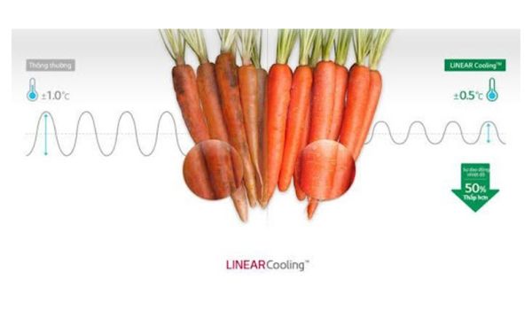 Công nghệ LinearCooling™  giữ thực phẩm tươi trong bao lâu