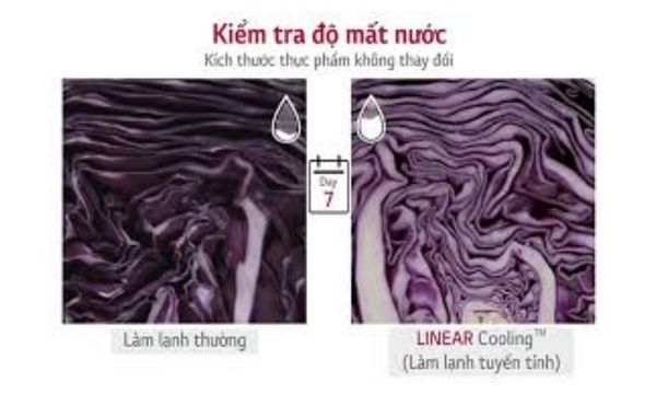 Nguyên lý hoạt động của LinearCooling