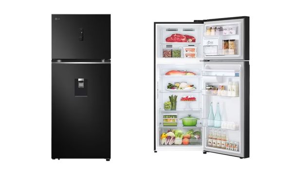 Tủ lạnh LG Smart Inverter™ GN-D392BLA