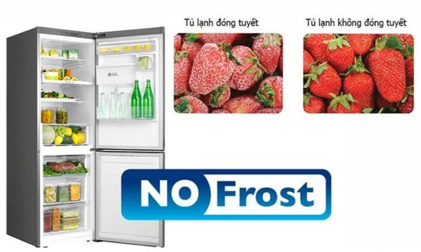 Công nghệ Total No Frost của tủ lạnh LG