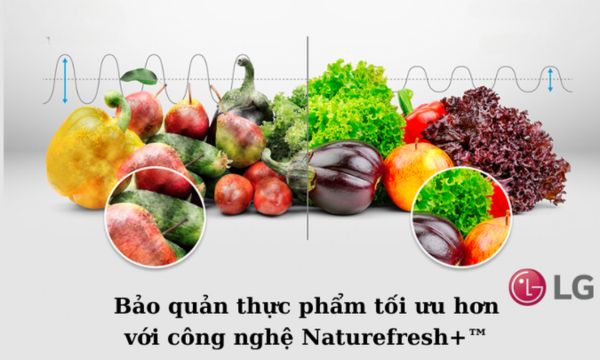 Công nghệ làm mát NatureFRESH™ tủ lạnh LG