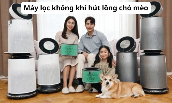 Máy lọc không khí hút lông chó mèo