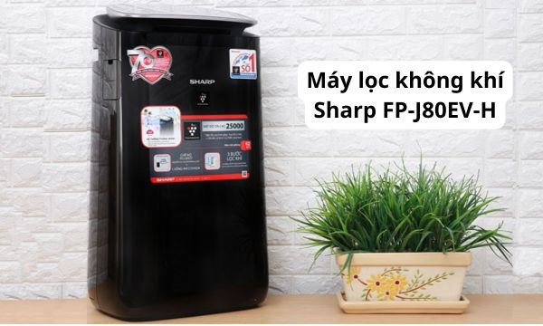 Máy lọc không khí Sharp FP-J80EV-H