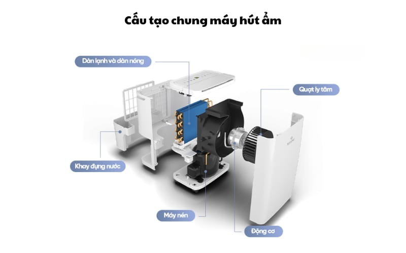 Cấu tạo máy hút ẩm
