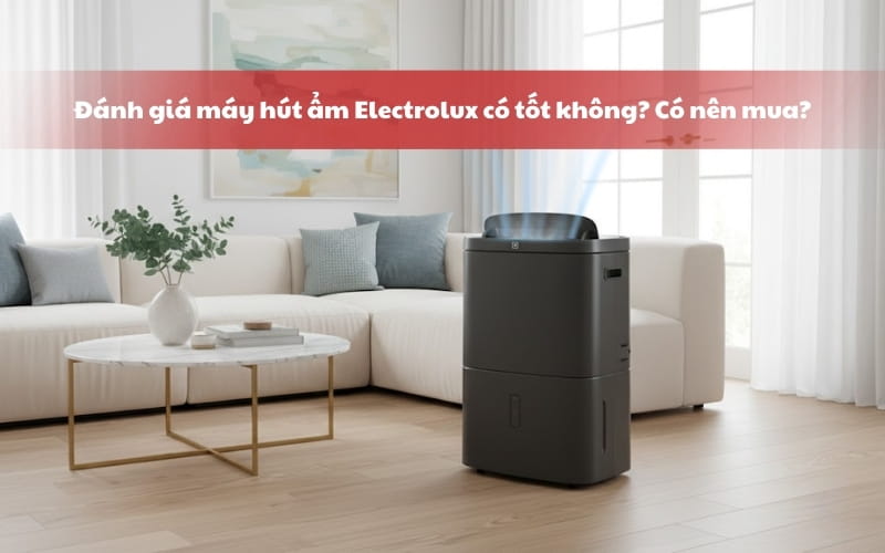 Đánh giá máy hút ẩm Electrolux có tốt không