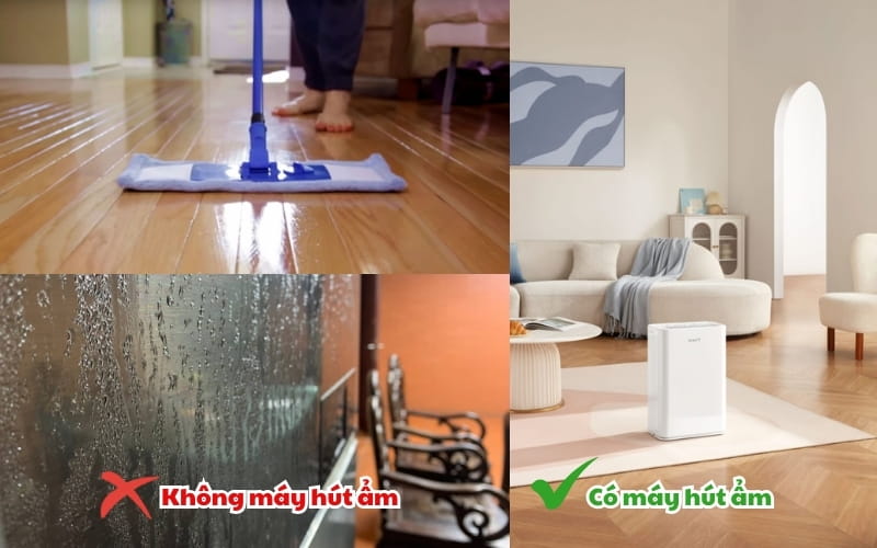 Sự khác biệt khi có máy hút ẩm và không có máy hút ẩm