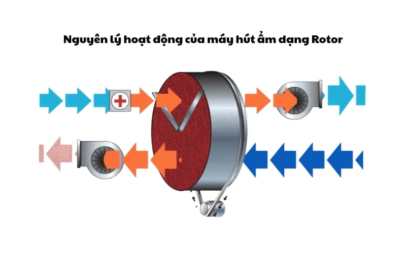 Cấu tạo máy hút ẩm dạng rotor