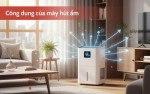 Công dụng của máy hút ẩm? Tại sao nên dùng?