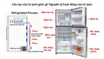 Cấu tạo của tủ lạnh gồm gì? Nguyên lý hoạt động của tủ lạnh