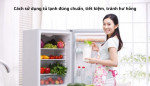 Cách sử dụng tủ lạnh đúng chuẩn, tiết kiệm, tránh hư hỏng
