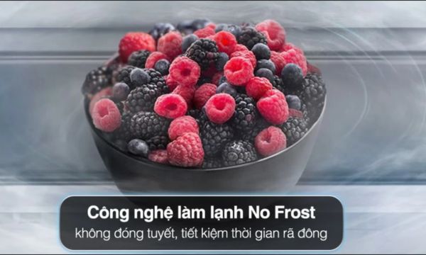 Công nghệ No Frost là gì