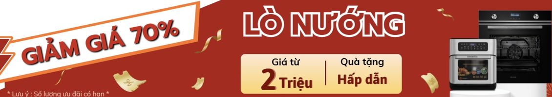 Sale cuối năm lò nướng xả kho