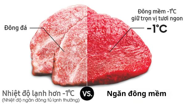So sánh ngăn đông mềm và ngăn đông bình thường