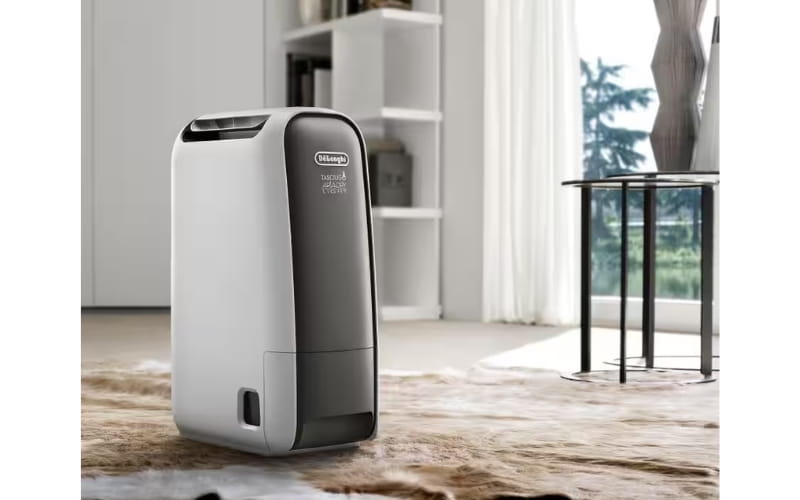 hình ảnh thực tế máy hút ẩm Delonghi DNS65