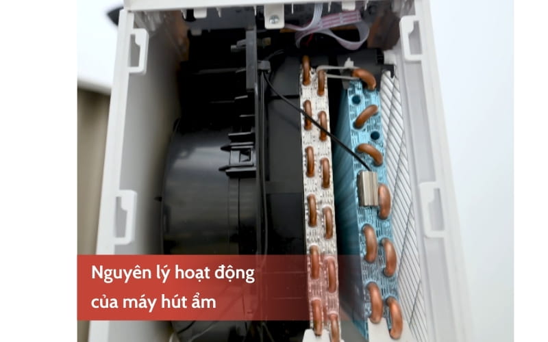 nguyên lý hoạt động của máy hút ẩm