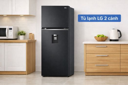 Kích thước tủ lạnh 2 cánh LG