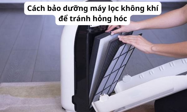 Cách bảo dưỡng máy lọc không khí để tránh hỏng hóc
