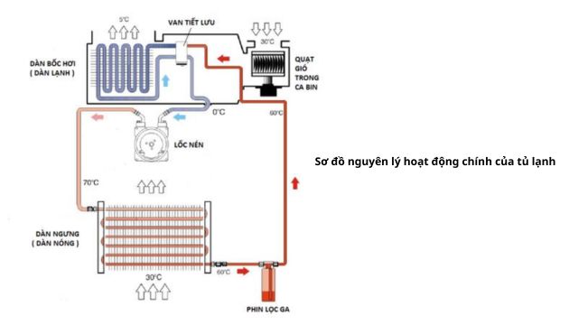 Sơ đồ nguyên lý hoạt động của tủ lạnh