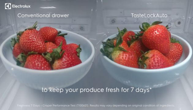 Đánh giá khả năng bảo quản của tủ lạnh Electrolux