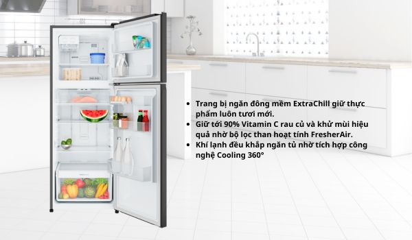 Tủ lạnh ngăn đá trên Electrolux Series 700 312L ETM3100L-B