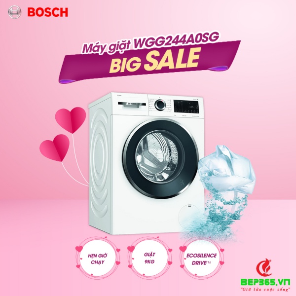 Máy giặt Bosch WGG244A0SG