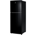 Tủ lạnh Electrolux ETB2802J-H
