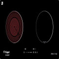 Bếp điện từ Capri CR 829KT