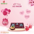 Bếp gas Malloca AS 9403R