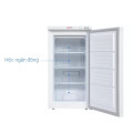 Tủ đông đứng Sanaky VH-160VD 118 lít
