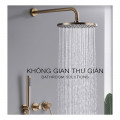 Sen đầu gắn tường Retro Hafele 589.15.390