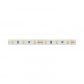 Chi tiết đèn LED dây Hafele 833.74.304