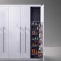Thực tế Tủ đồ khô Hafele 548.65.073