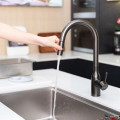 Vòi rửa bát dây rút Nobinox AQUA NX664D