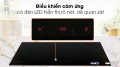 bảng điều khiển Bếp Từ Malloca MH-02I D