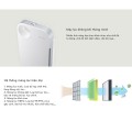 Máy lọc không khí Coway SWAN (AP-1008CH)