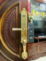 KHÓA CỬA ĐIỆN TỬ THÔNG MINH GIOVANI GSL A165 GOLD
