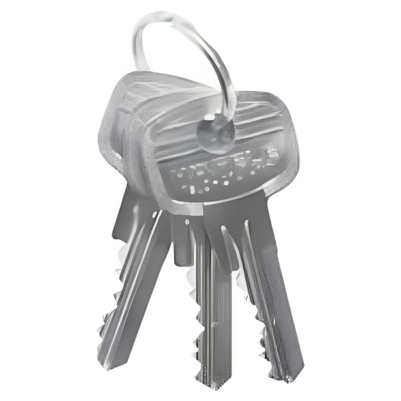 CHÌA MASTER KEY/EM/6 PIN HÄFELE 916.66.553