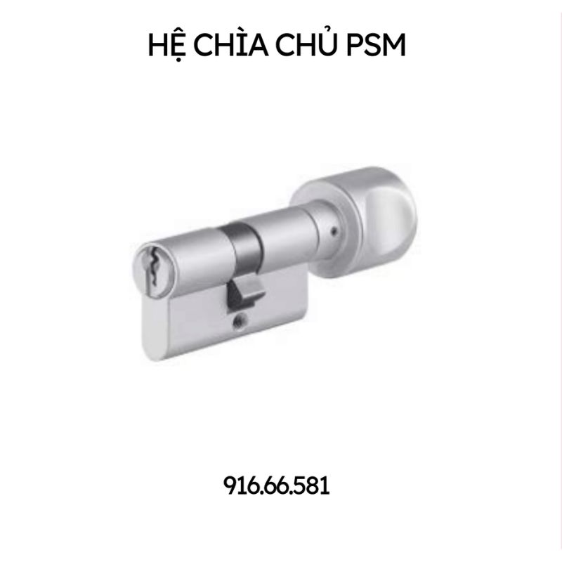 Ruột khóa 1 đầu chìa 1 đầu vặn nhôm chìa chủ PSM Hafele 916.66.581