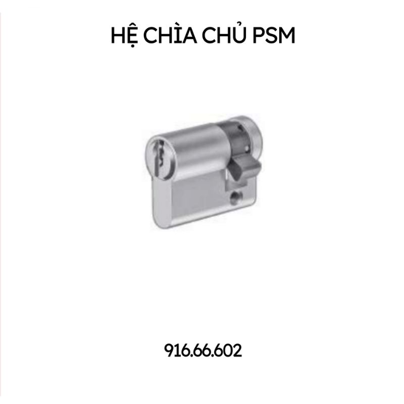 Ruột khóa một đầu chìa, chìa chủ PSM Hafele 916.66.602