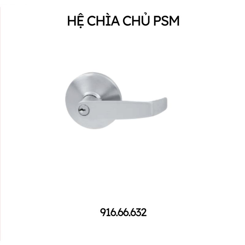 Tay nắm gạt chìa chủ PSM Hafele 916.66.632