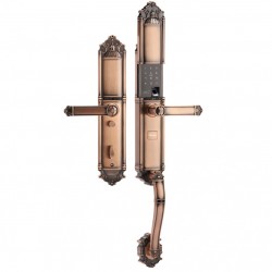 Khóa cửa điện tử đại sảnh-biệt thự Demax SL821 AC