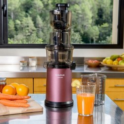 Máy ép chậm Taurus LIQUAJUICE LS-651 BM